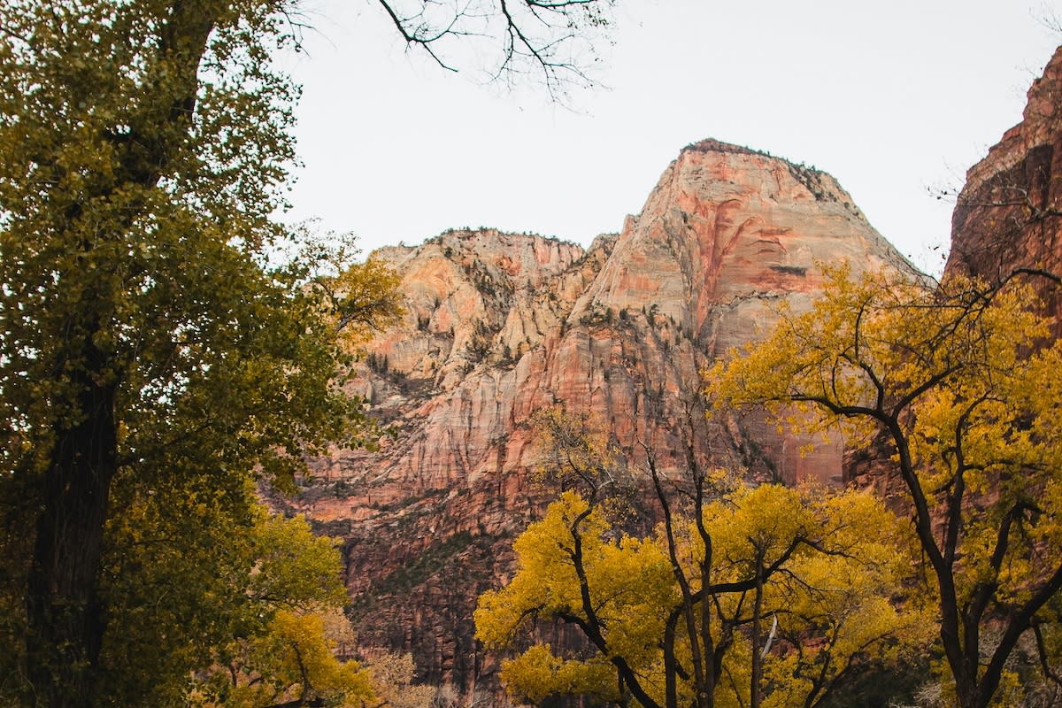 Zion National Park Fall Colors