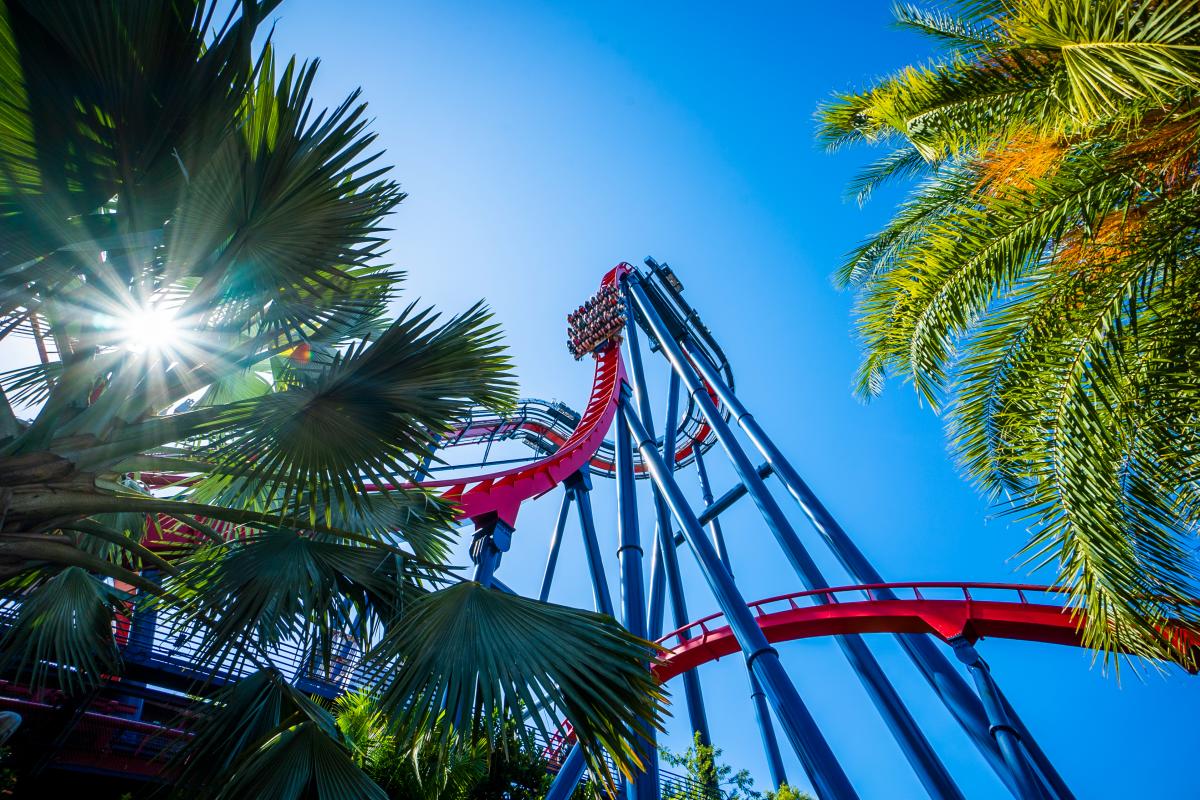 Busch Gardens® Tampa Bay Shiekra