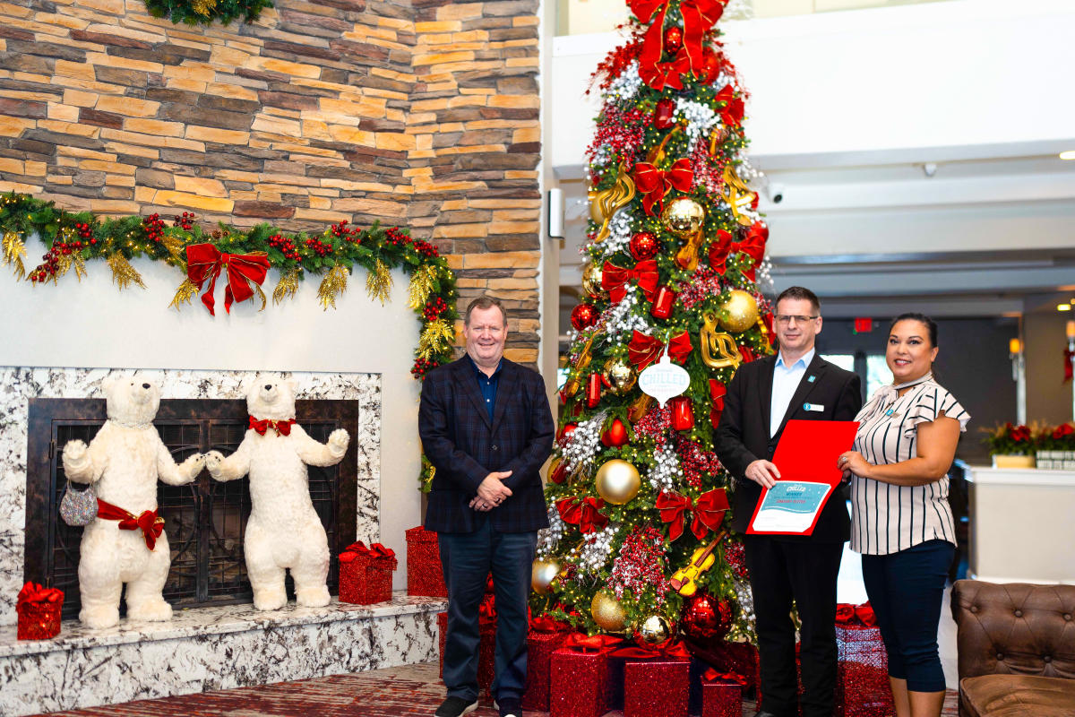 Embassy Suites Hotel Tree Winner