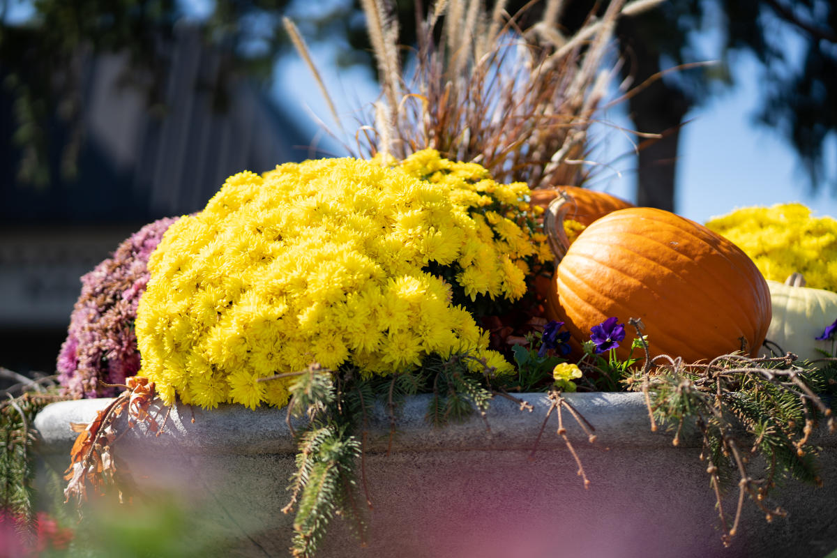 Fall Decor | Topeka, KS