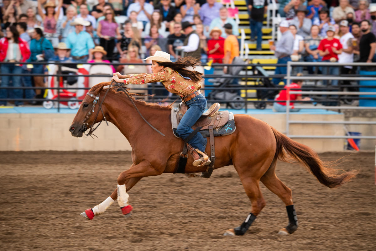 Mid-State Fair