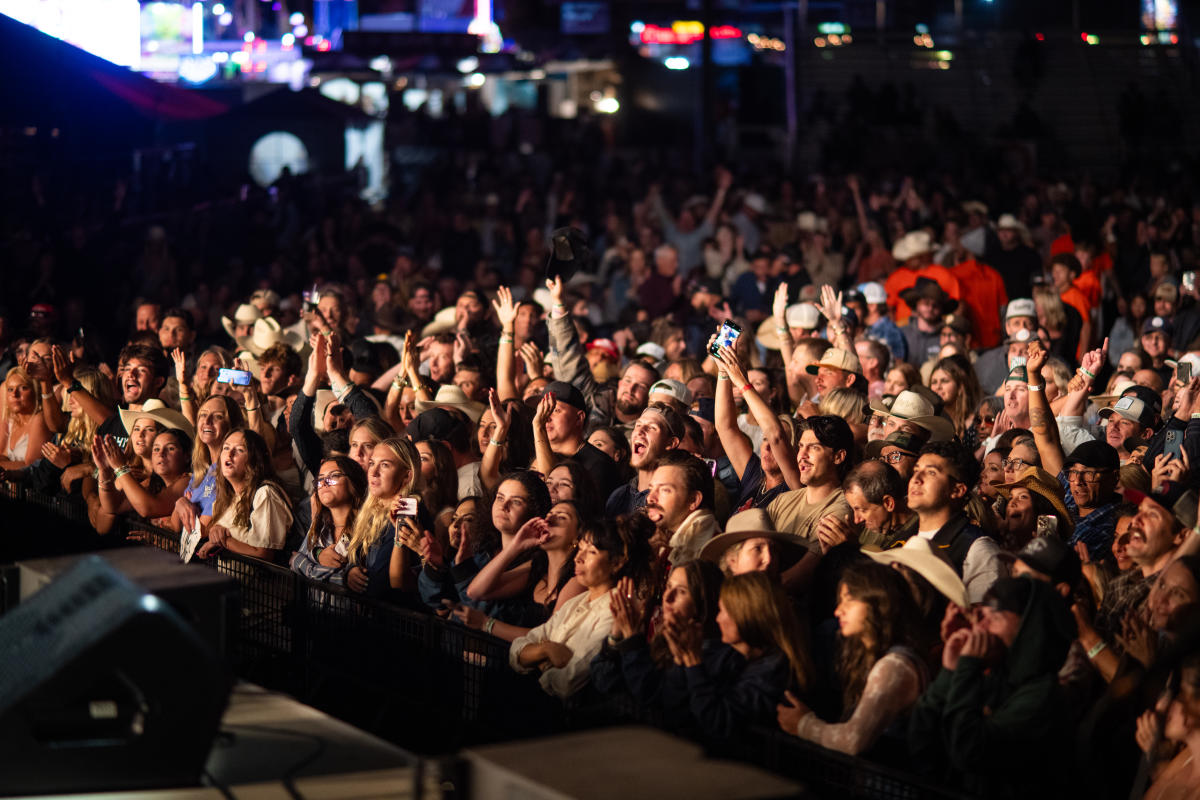 Concerts- MSF