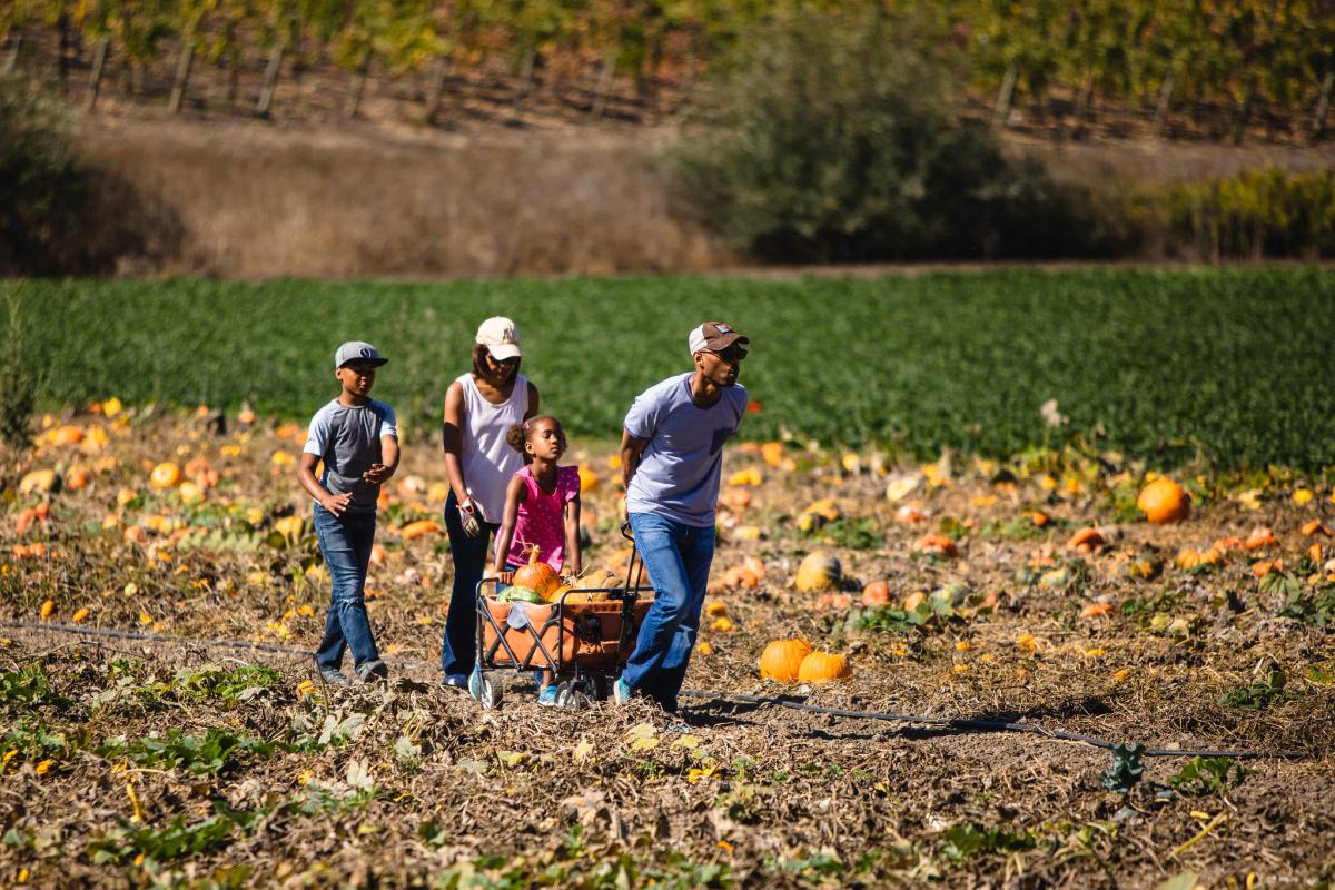 Family in Pumpkin Patch Fall