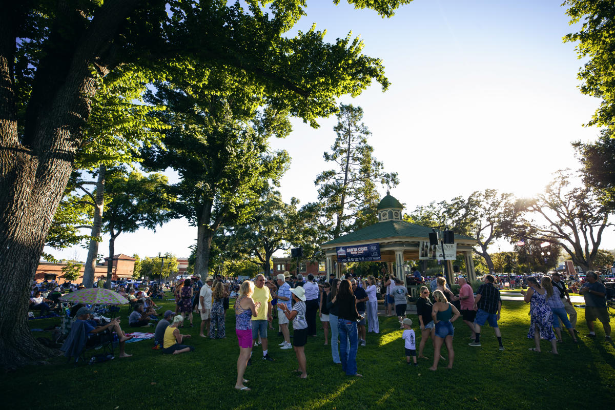 Concerts in Park