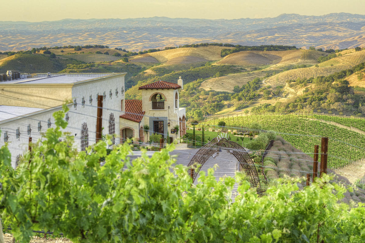 Daou Vineyards