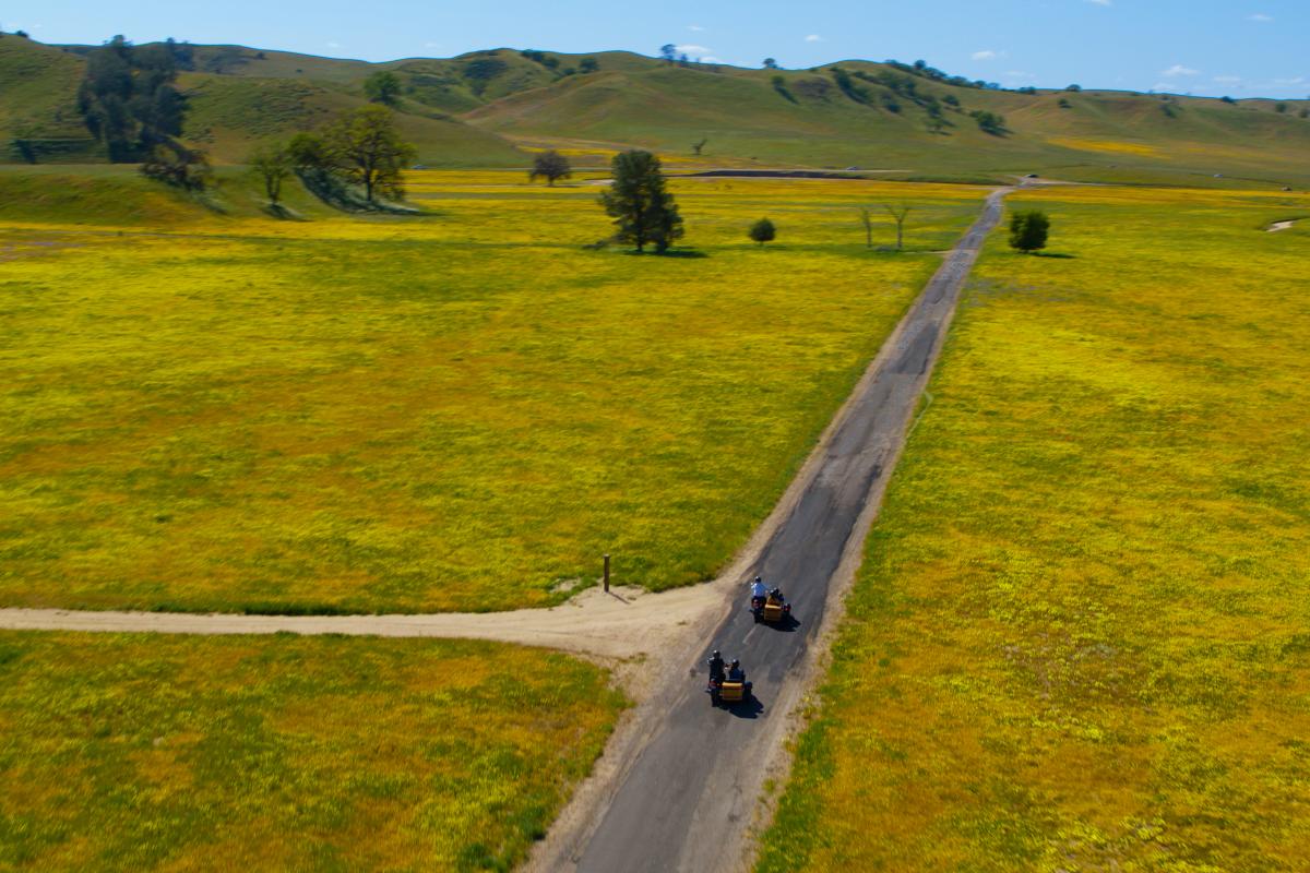 Wildflowers Drive