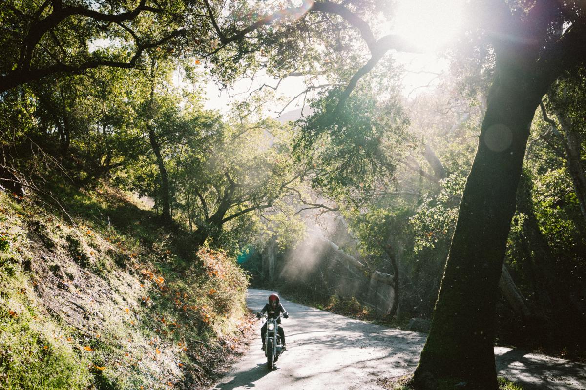 Motorcycle on the Backroads of Paso Robles
