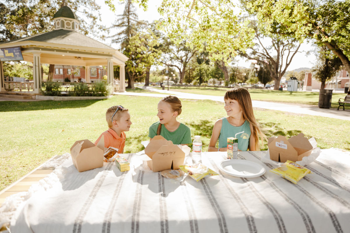 Downtown Picnic