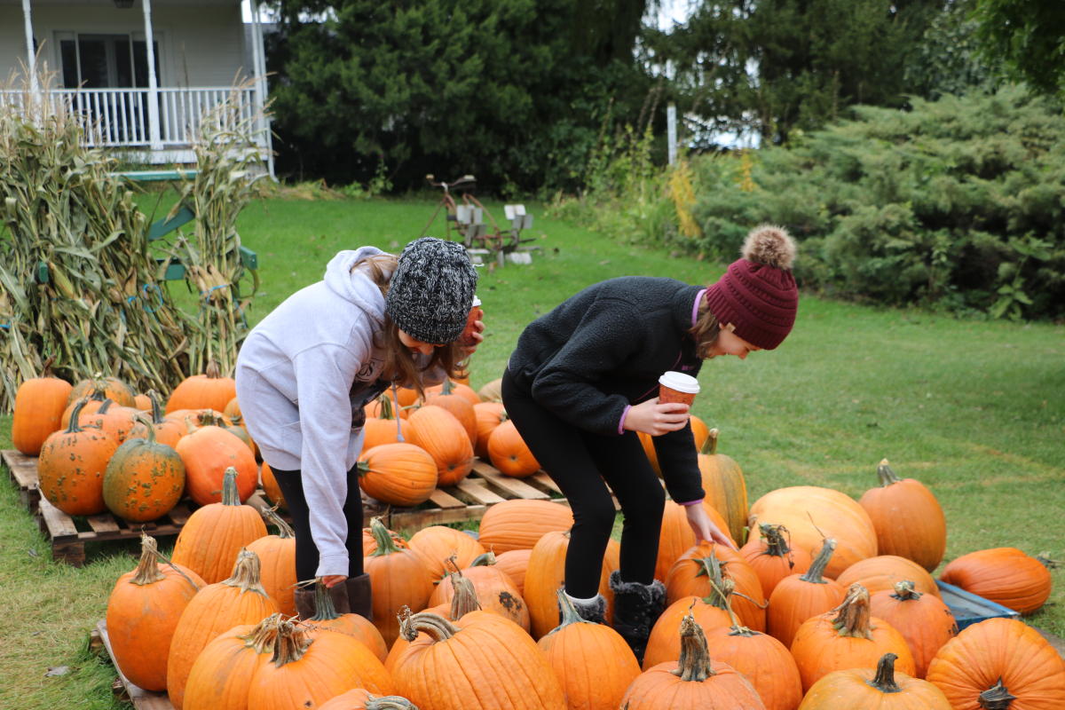 Two kids picking pumpkins at Gallagher's for fall family fun in Traverse City