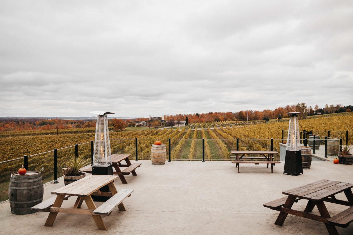 Behind the Tasting Room Bonobo Winery