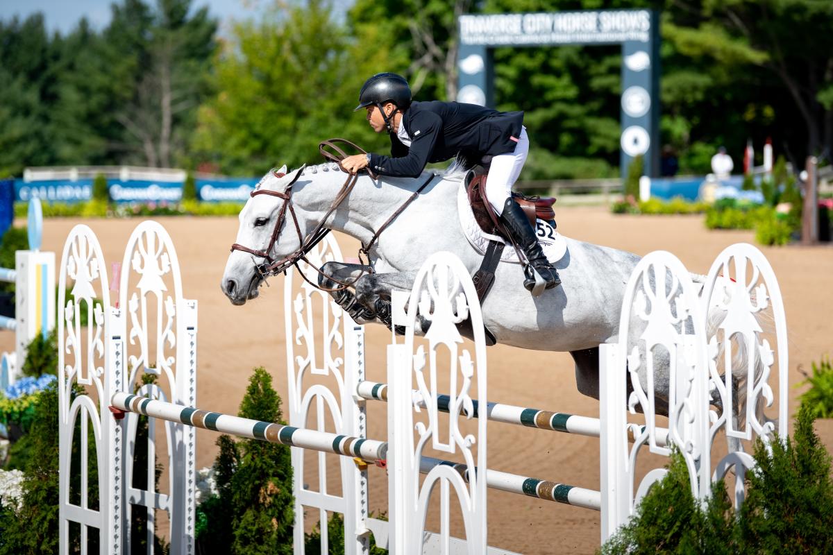 TC Horse Shows
