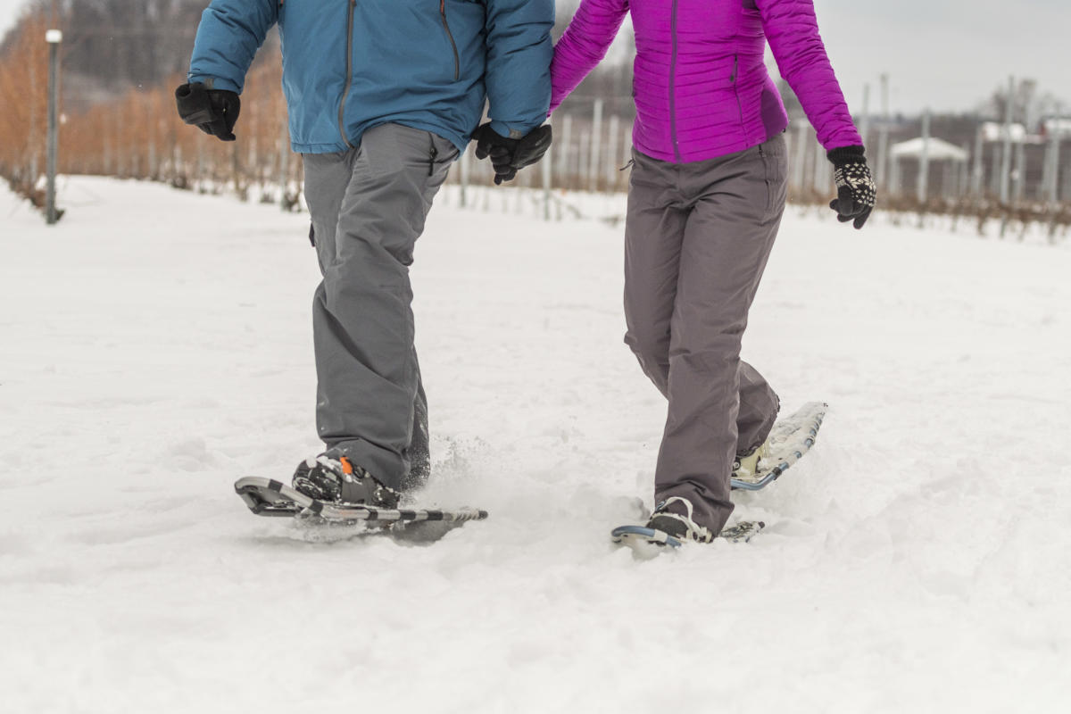 Snowshoeing in the Vineyard