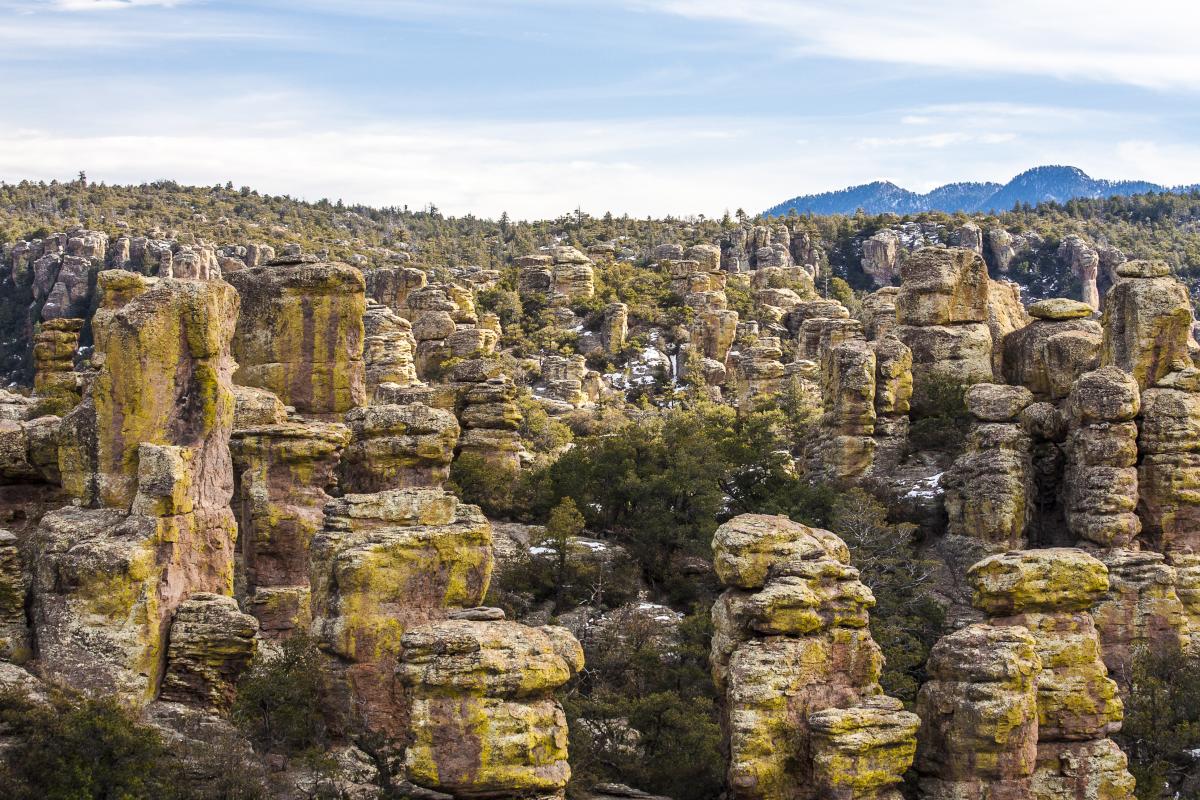 landscape of large, vertical columns of rock formations Chiricahua National Monument