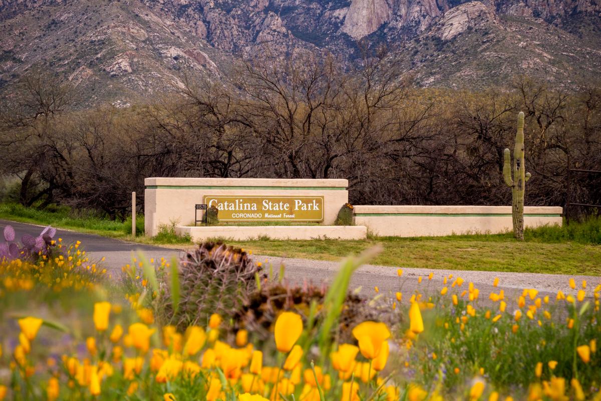 Catalina State Park