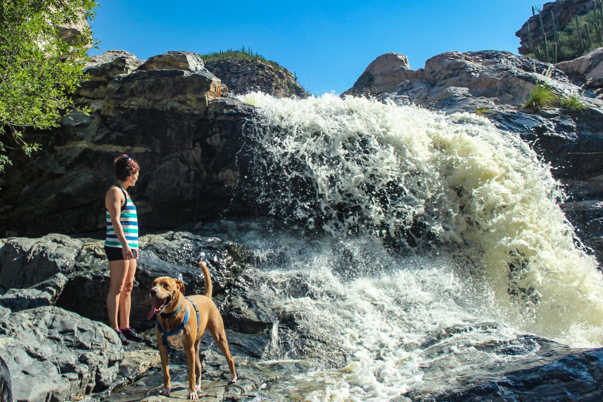 Woman and a dog standing, admiring a flowing waterfall up close