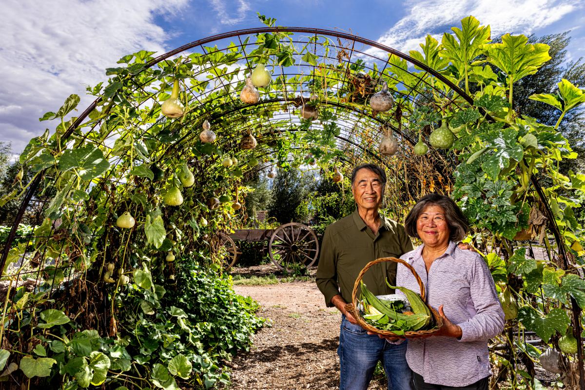 Portrait of a man and women standing shoulder-to-shoulder holding a basket of veggies. Behind is an arched trellis filled with vegetables