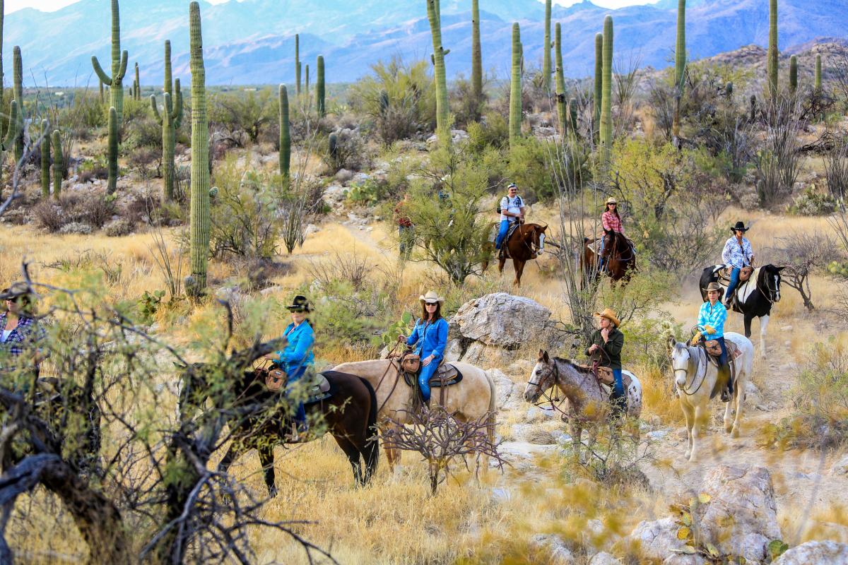 Group of people riding horses in the Sonoran Desert at Tanque Verde Ranch