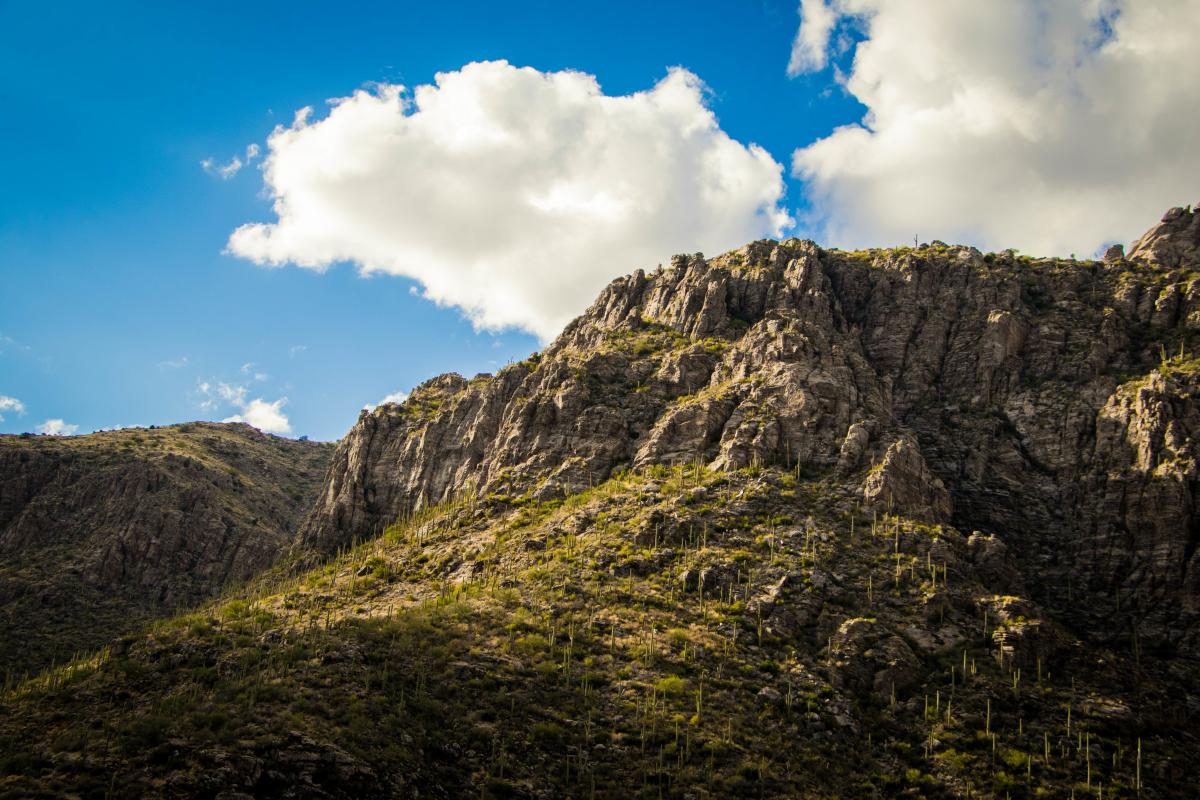 Landscape of Santa Catalina Mountain scaled with green brush and saguaro cacti. Above is a bright blue sky with clouds peaking above the mountain range