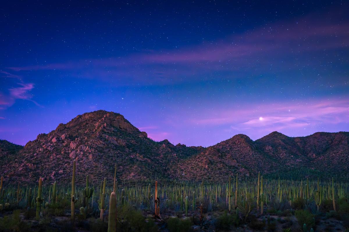 Saguaro West View from Visitors Center 2