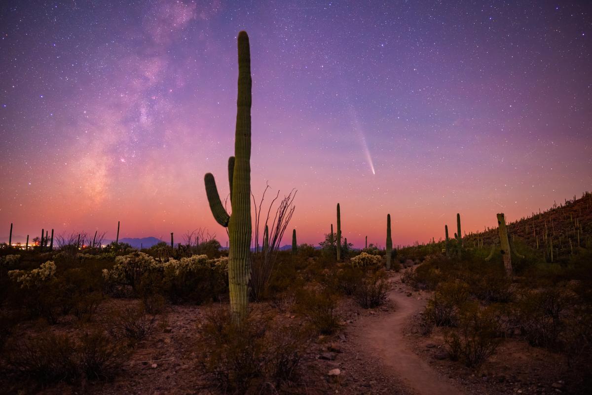 Saguaro Comet Landscape Gates Pass