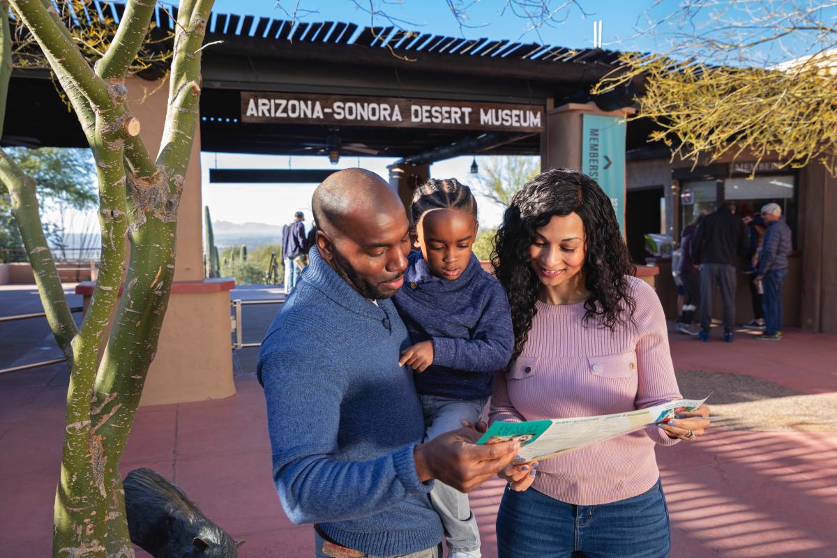 Family with small child reading a map at entrance of the Arizona-Sonora Desert Museum in Tucson