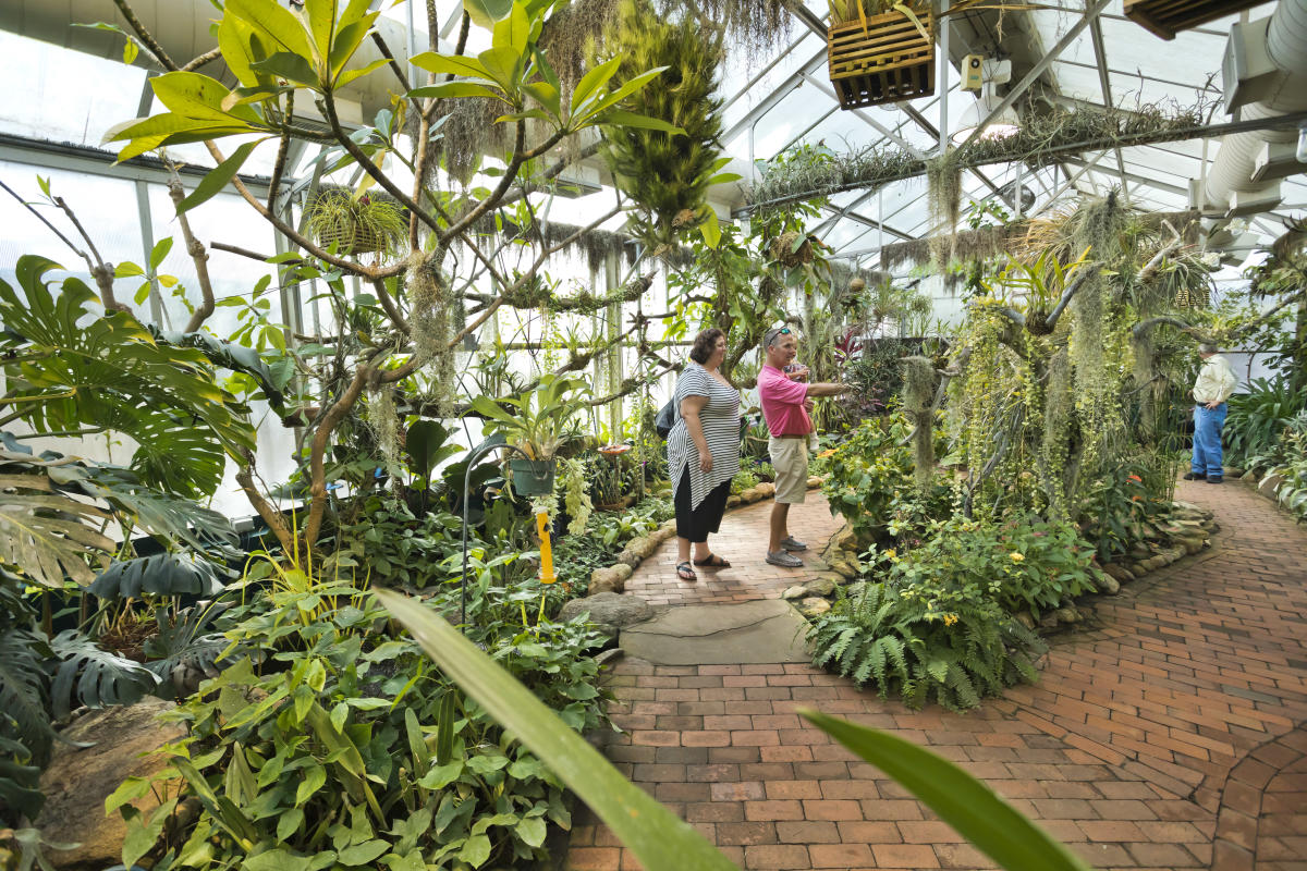 Woman and man holding a small child admire greenery in a large greenhouse filled with plants and trees