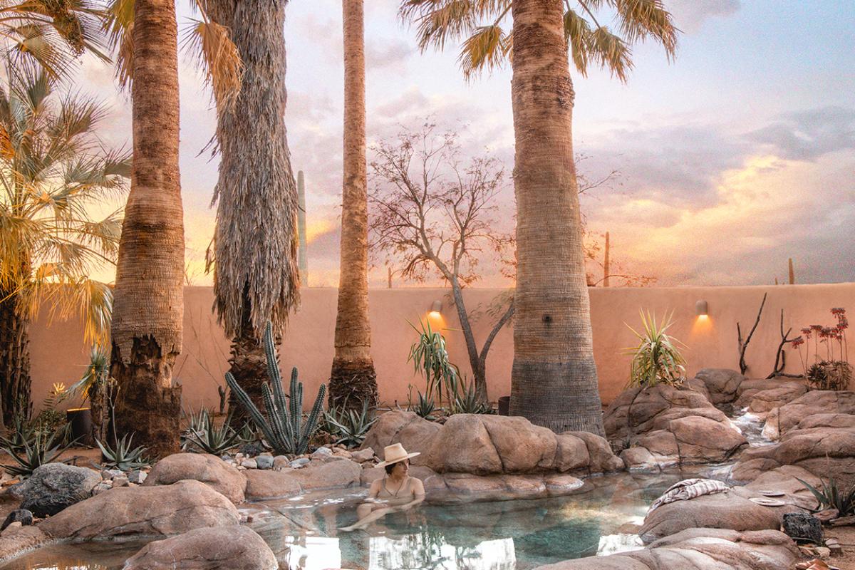 Person relaxing in desert hot spring underneath palm trees