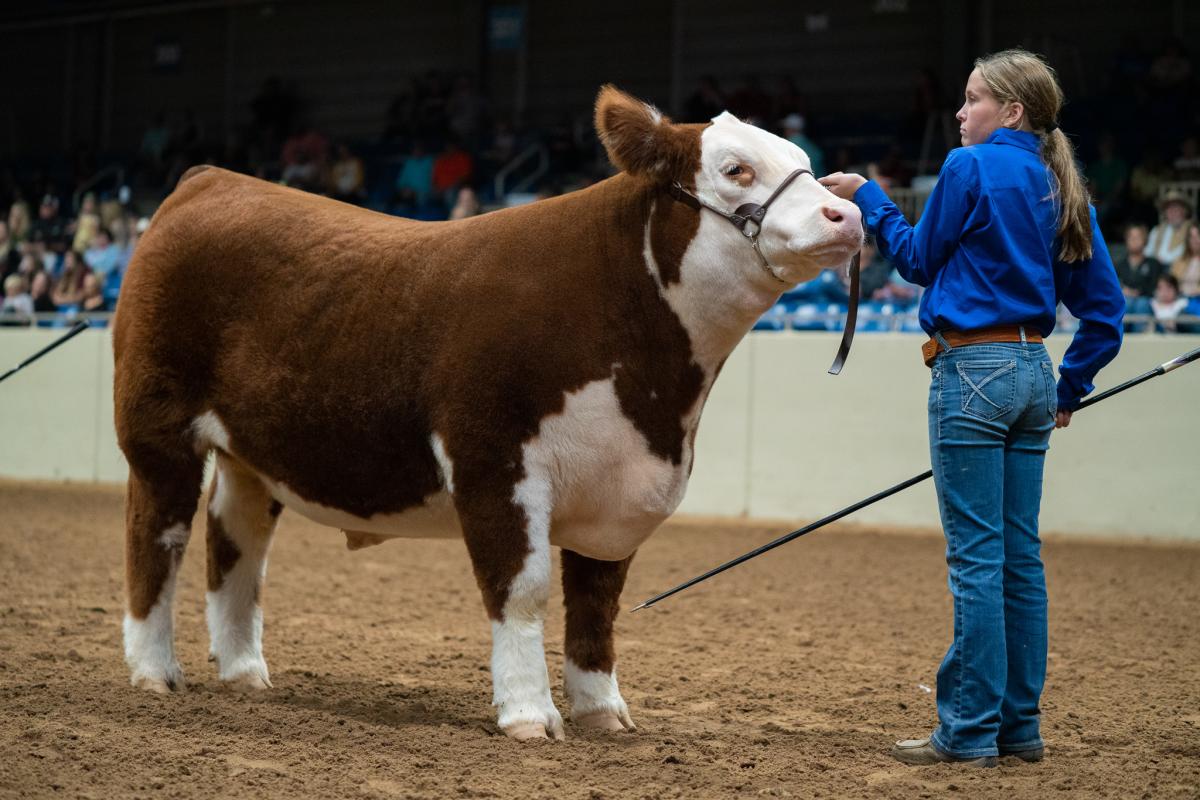 Tulsa State Fair - Agricultural
