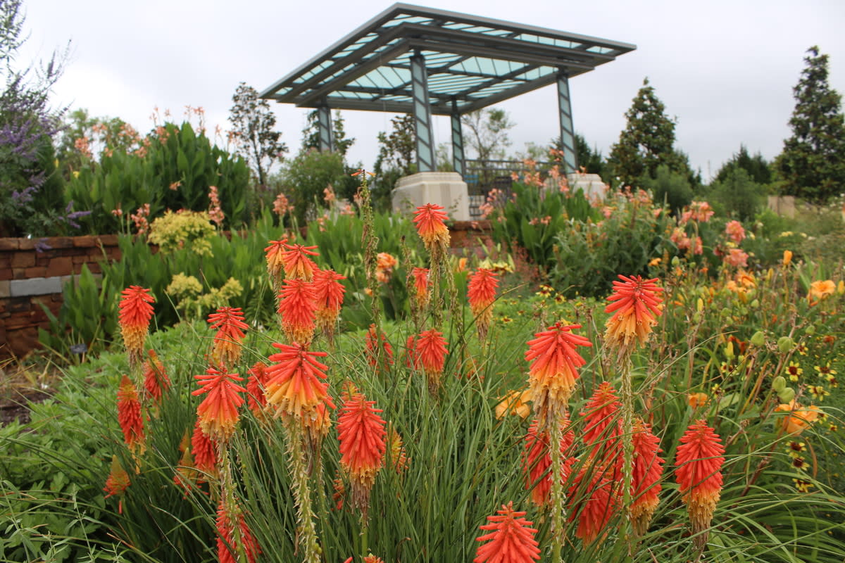 Tulsa Botanic Garden Blooms