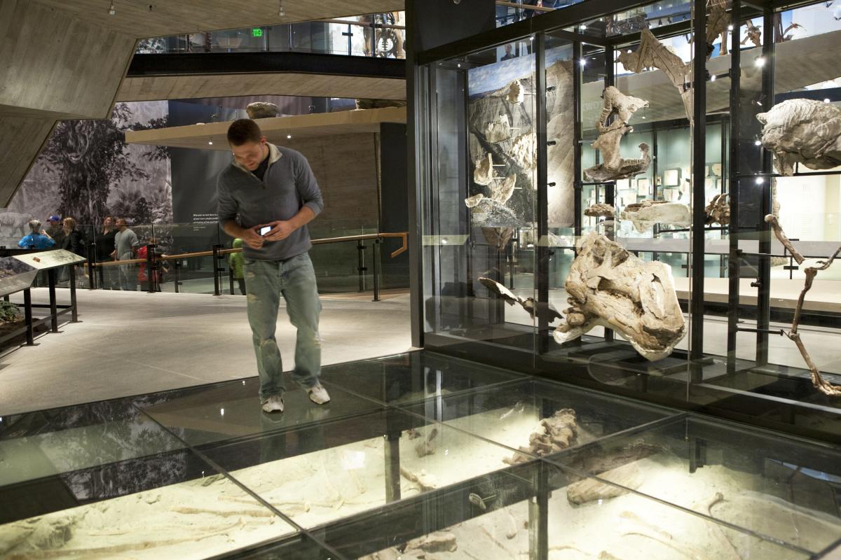 Natural History Museum of Utah, in Salt Lake City, Utah.