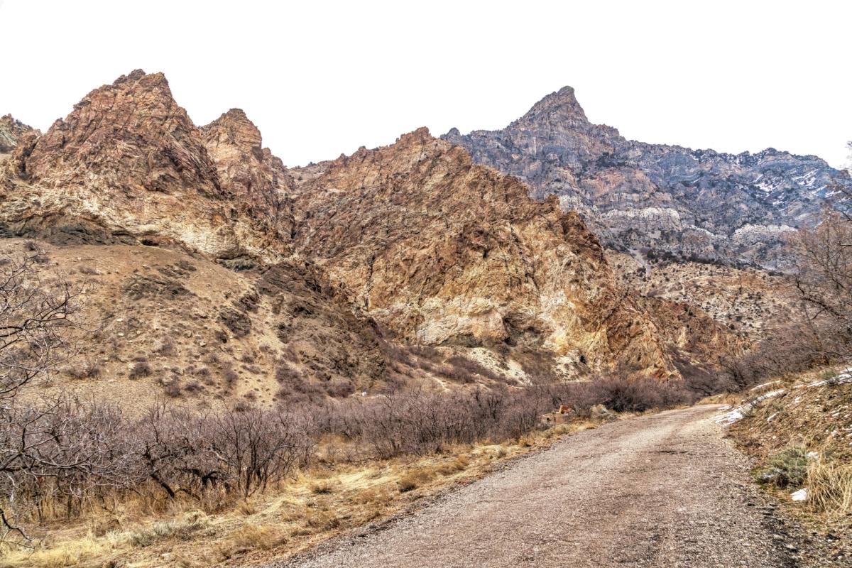 Rock Canyon