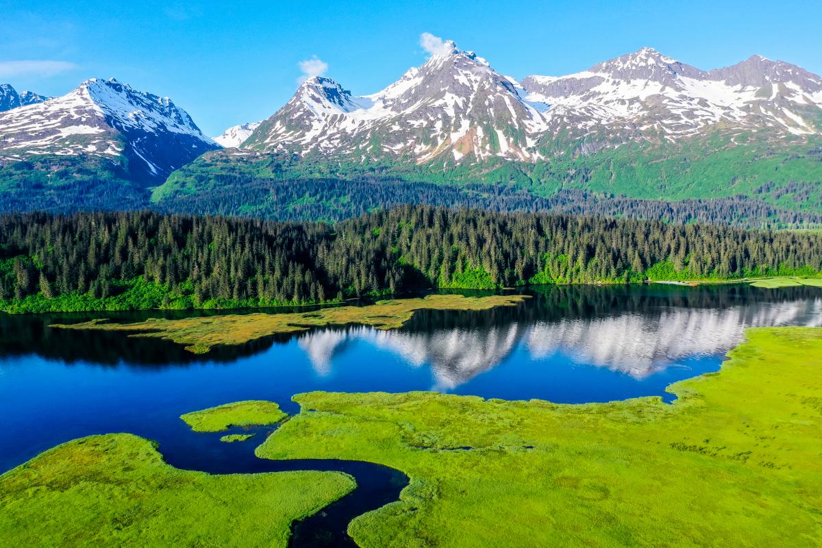 Spring Mountains