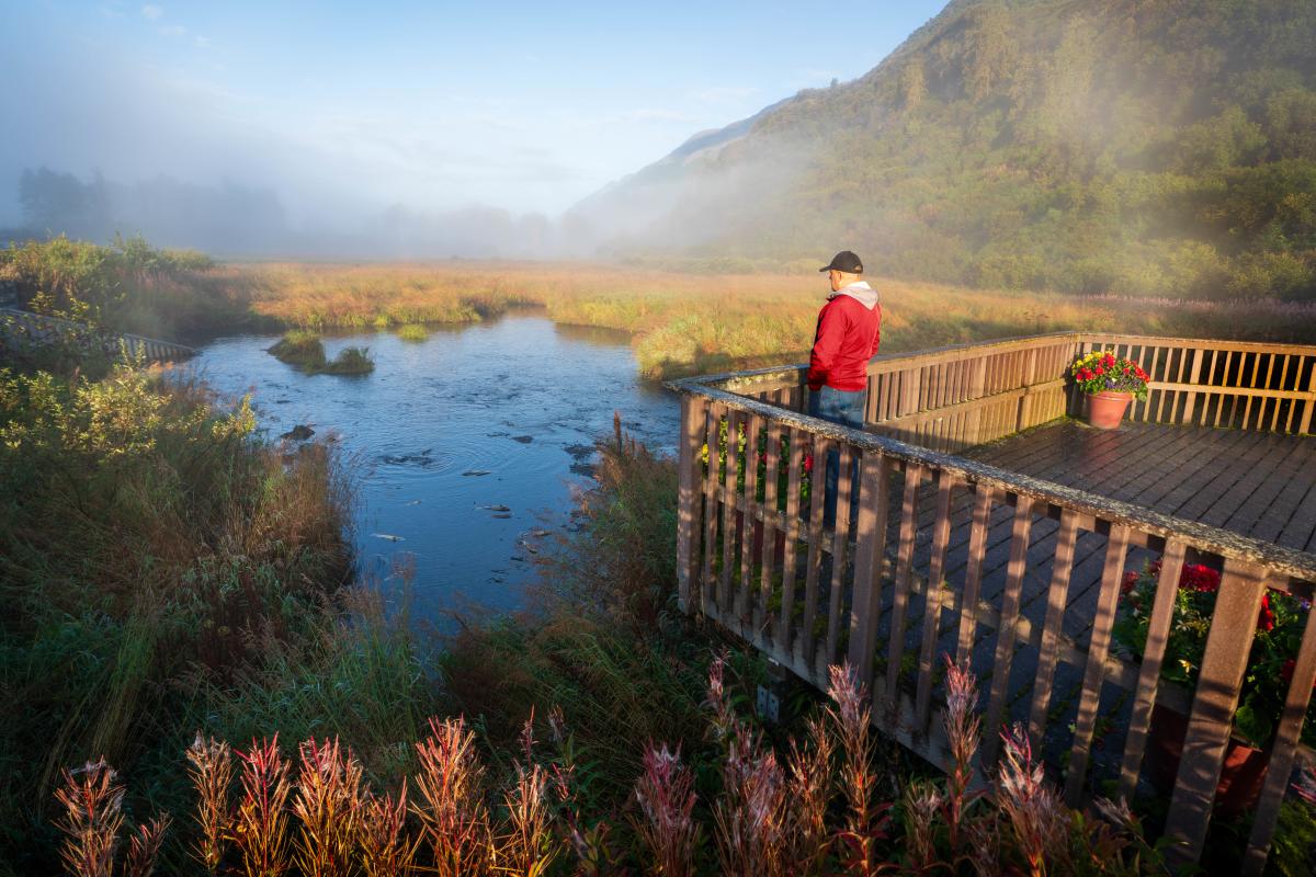 Man watching spawning salmon from the Crook Creek Information Site viewing platform.