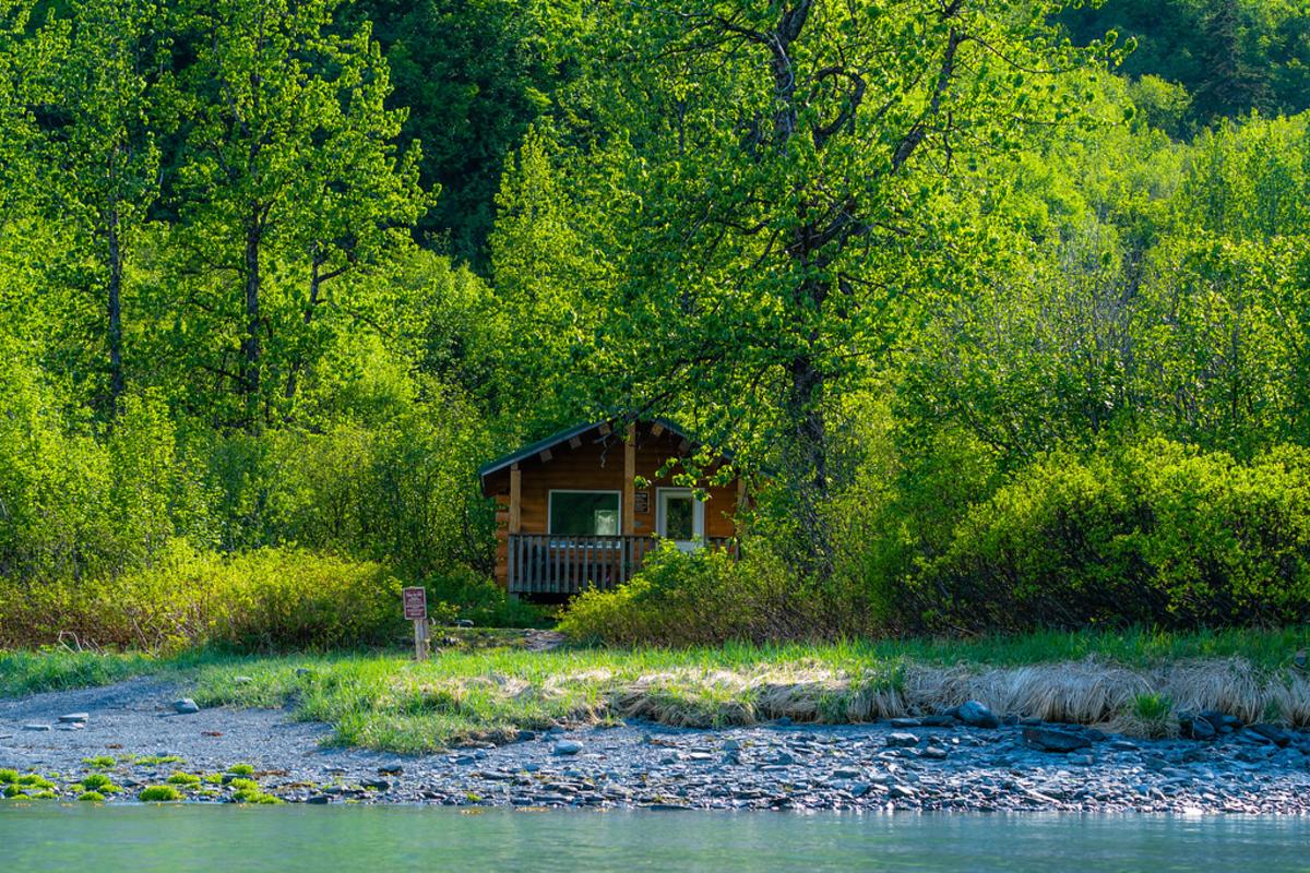 a cabin surrounded by trees on the shore of a bay