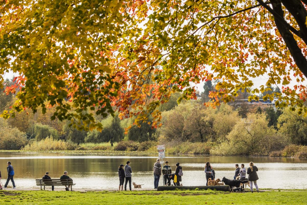 Fall at Trout Lake / Commercial Drive