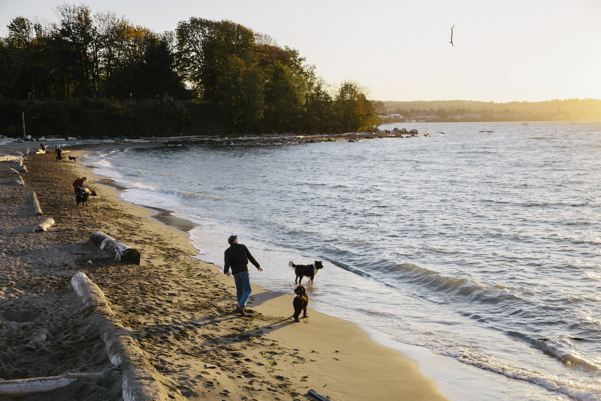 Hadden Park Dog Beach