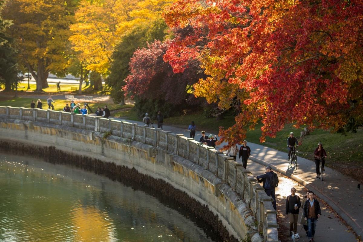 Seawall in Fall