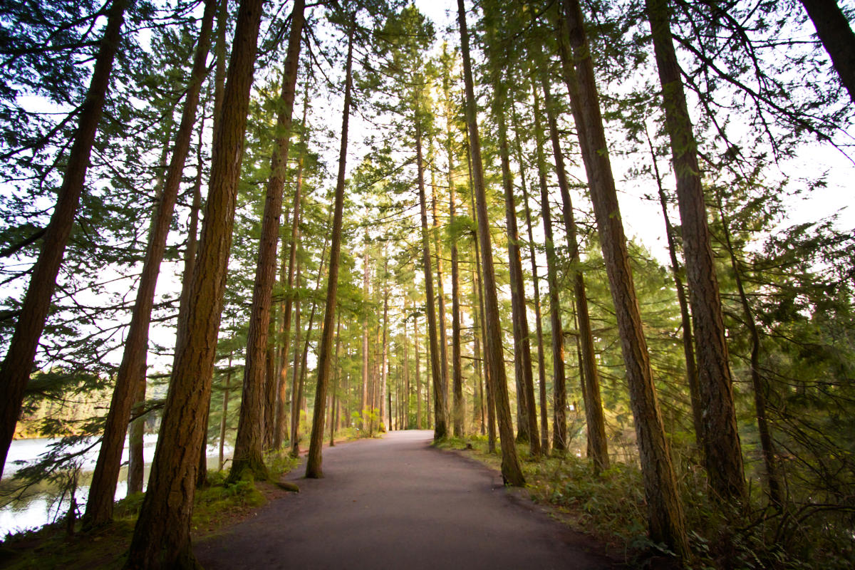 Lacamas Heritage Trail