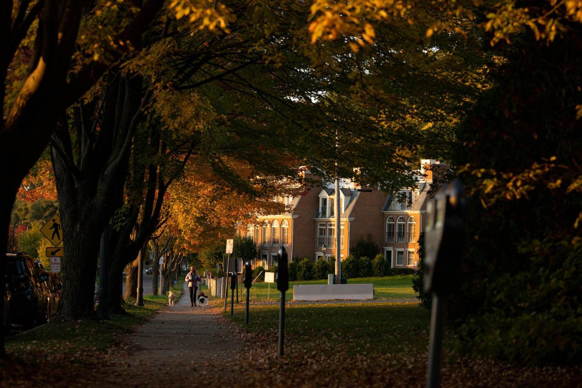 Downtown Fall Foliage