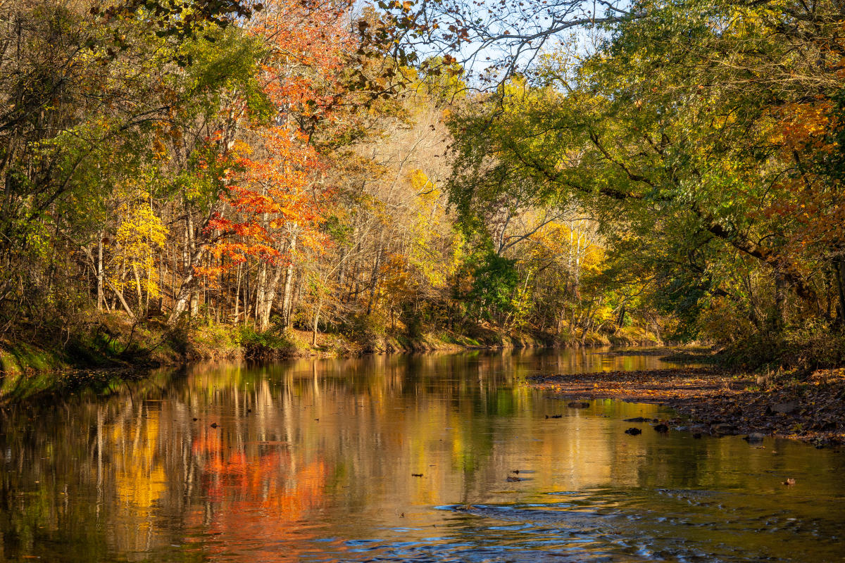 Evansburg State Park fall foliage