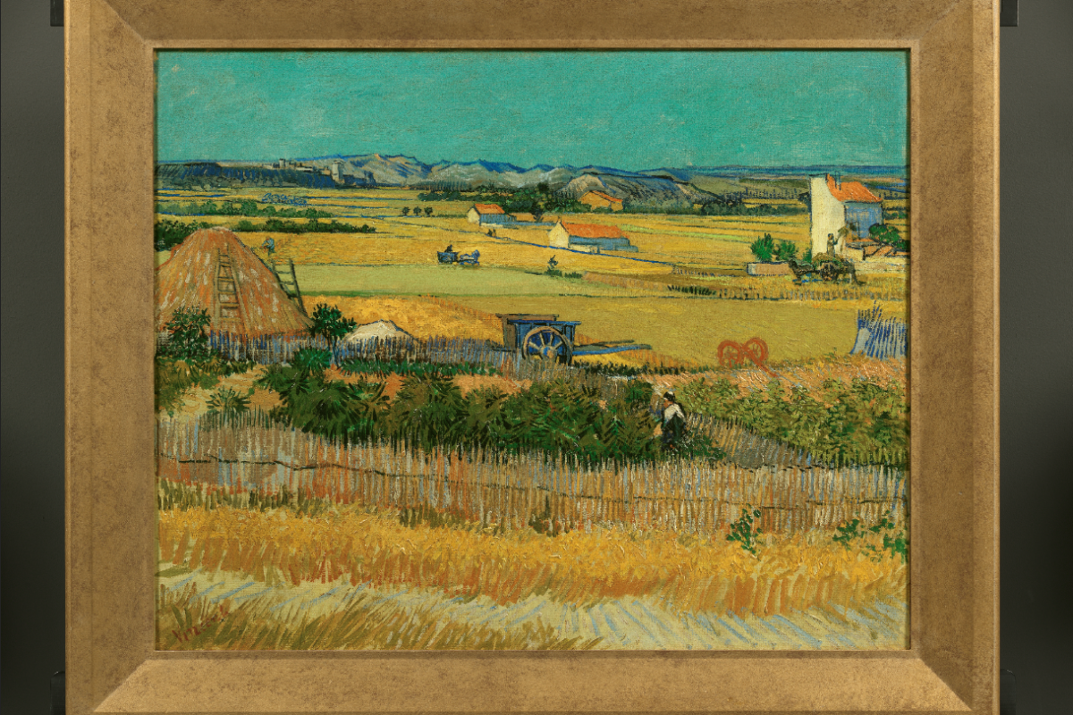 Van gogh outlet museum collection