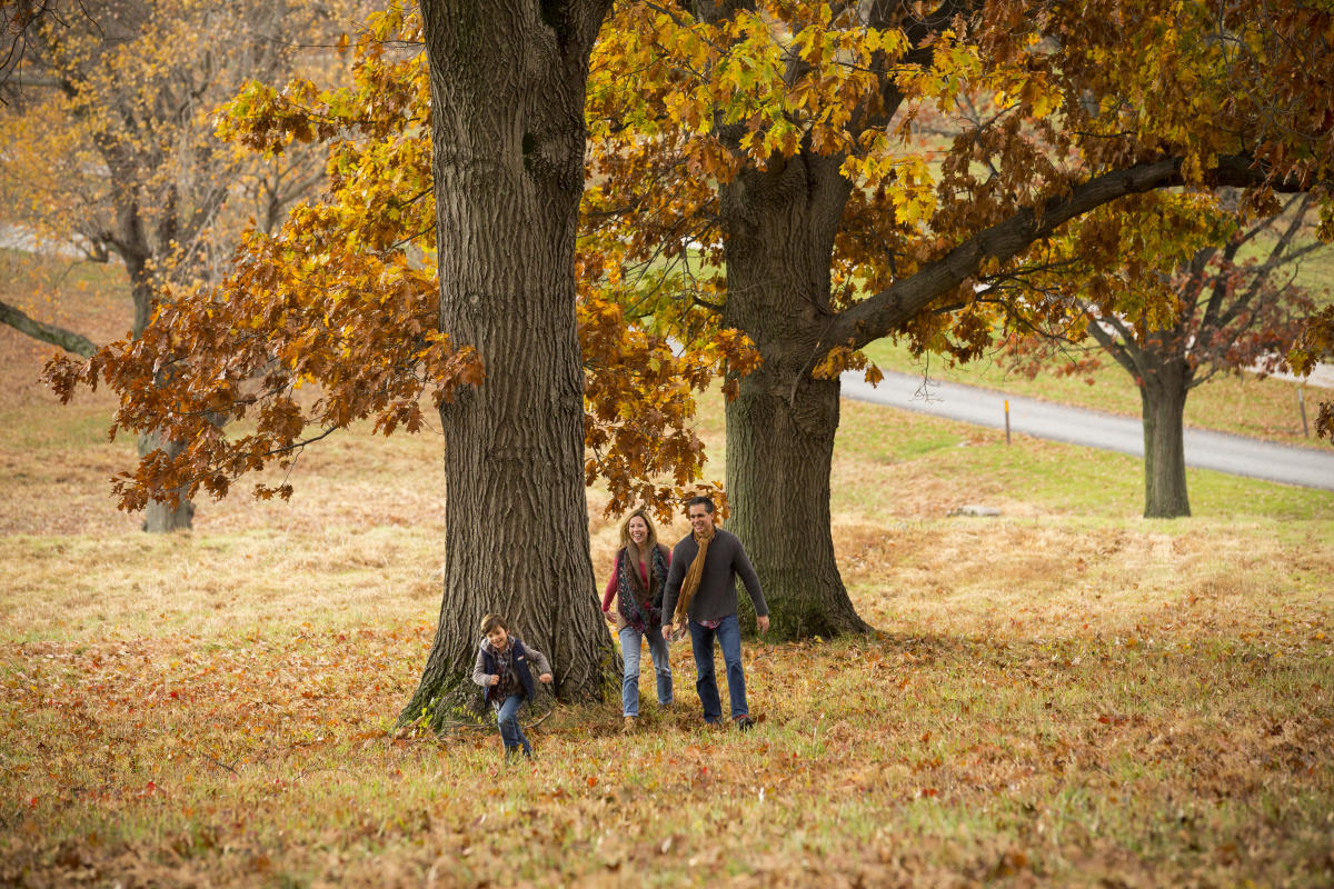 fall