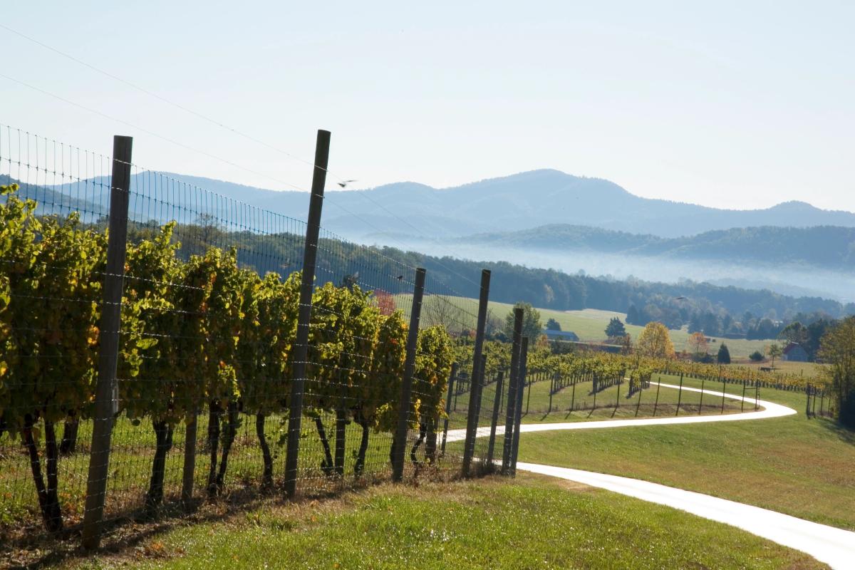 Afton Mountain Vineyards