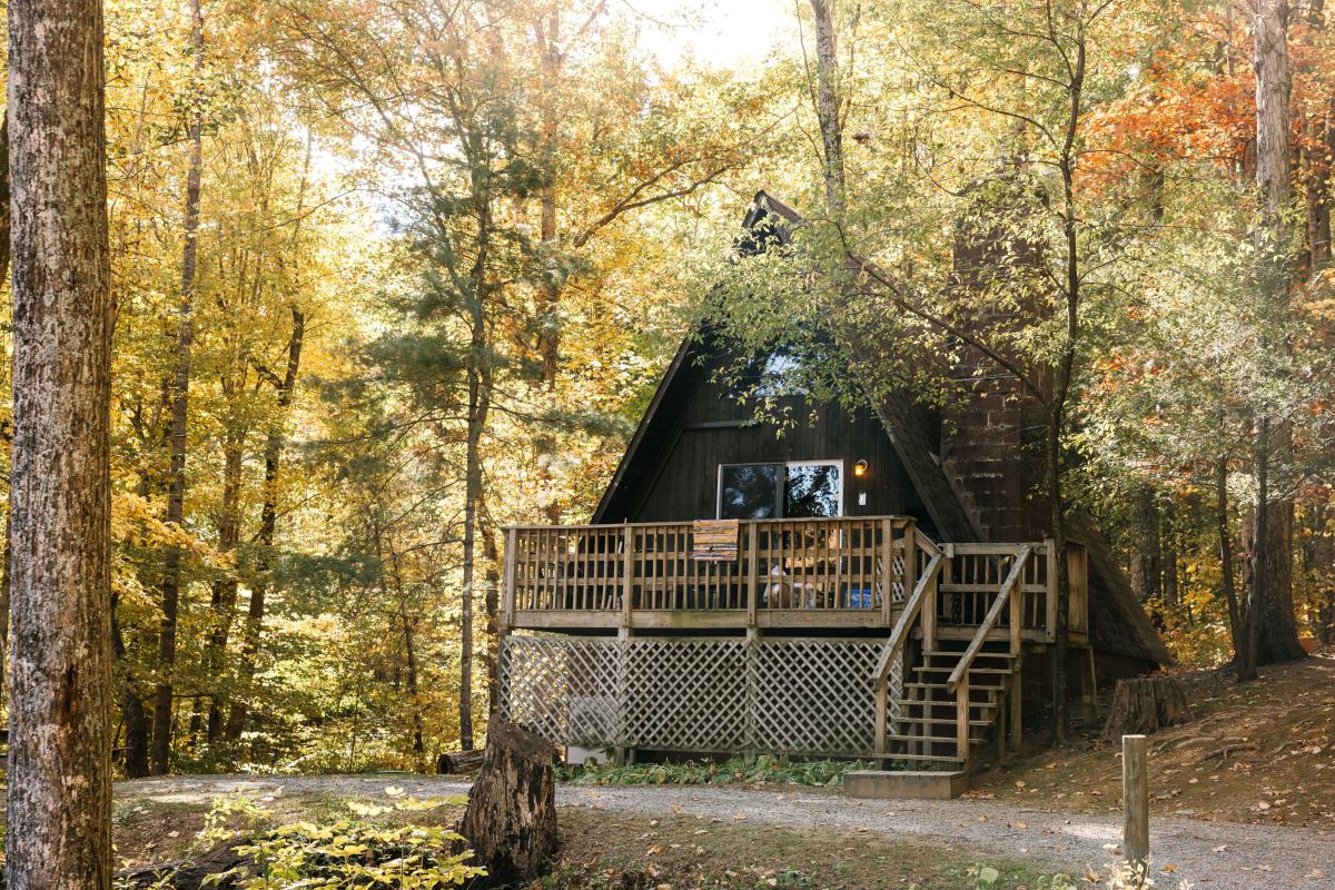 A-Frame Cabin in the woods at Montfair Resort Farm