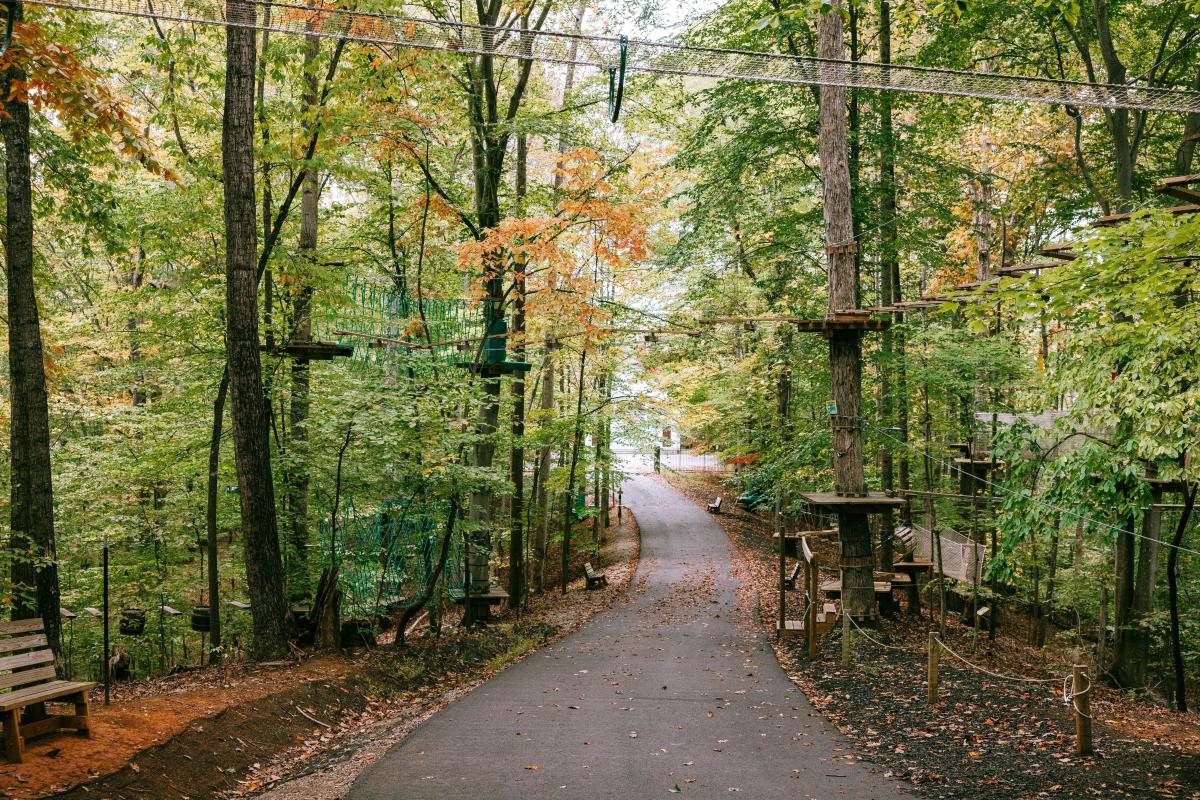 Explore Park Treetop Obstacle Course in Roanoke, Virginia