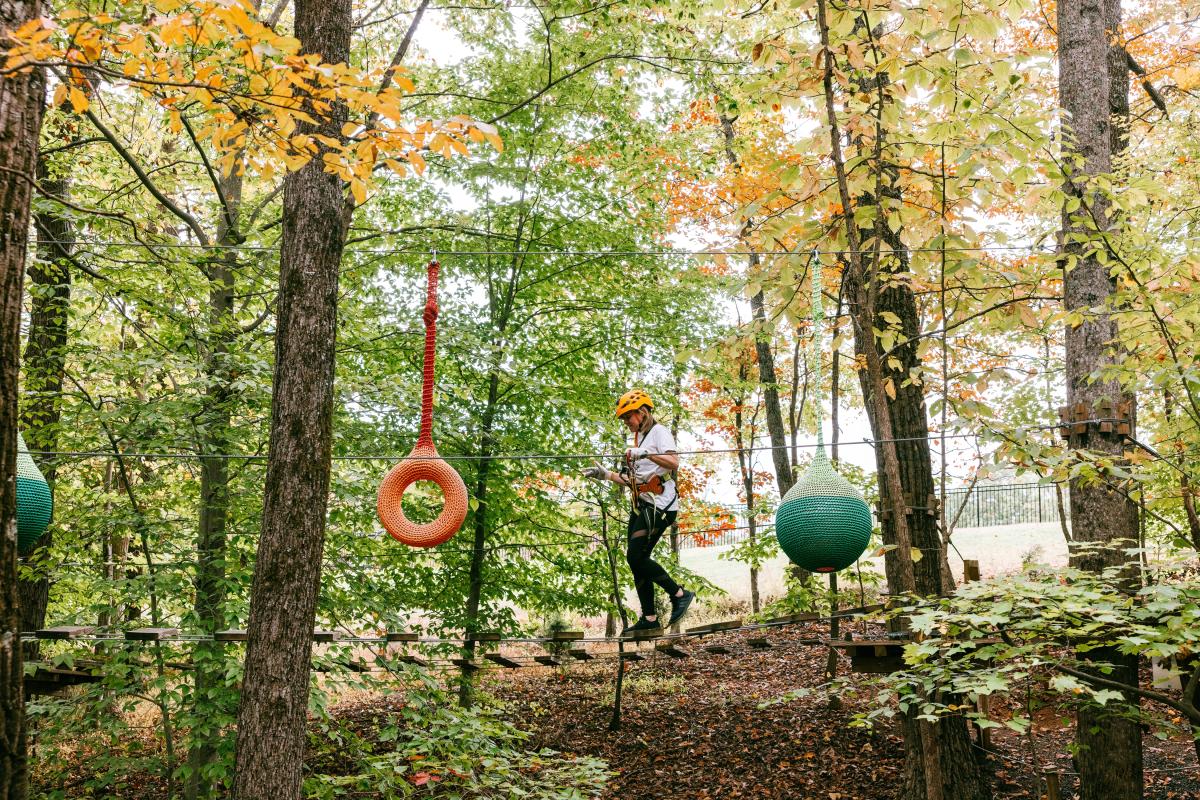 Treetop Obstacle Course at Explore Park in Roanoke