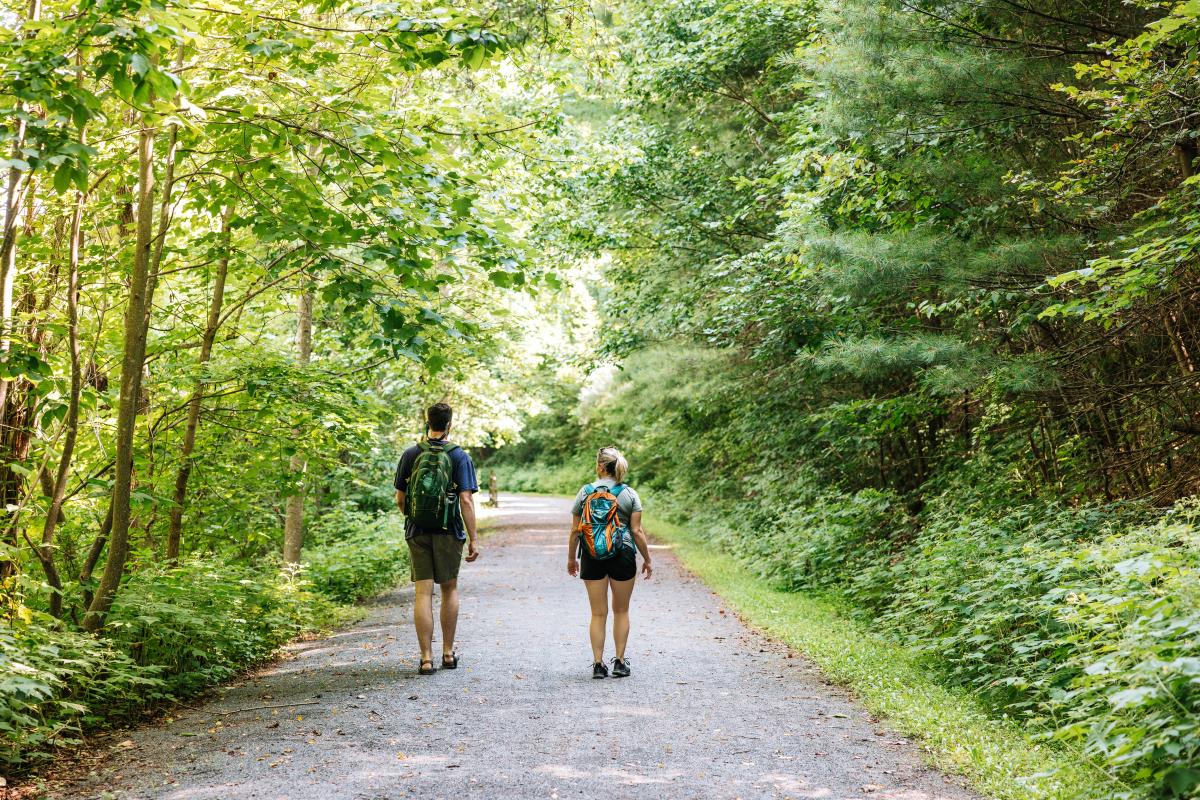 Jackson River Scenic Trail