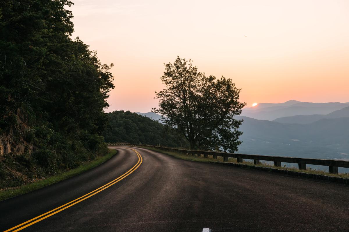 Pine Tree Overlook – Blue Ridge Parkway