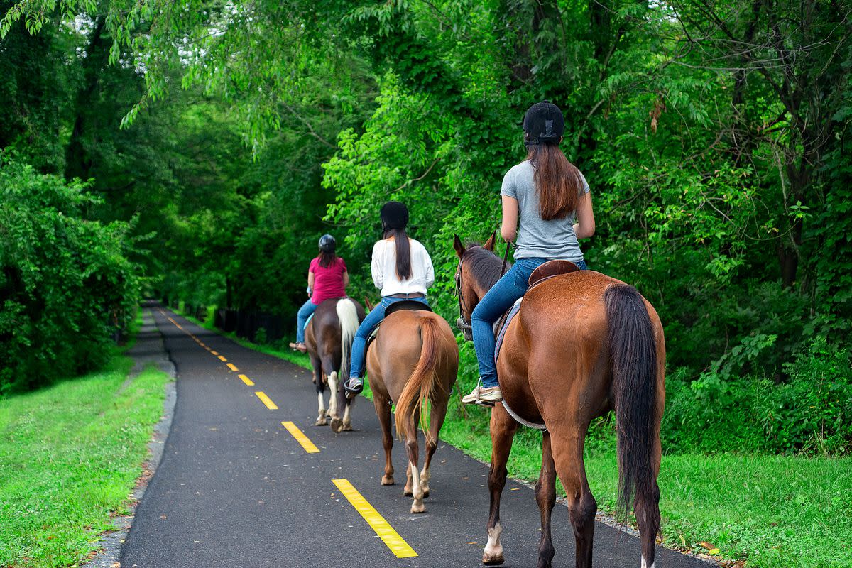 Washington & Old Dominion Railroad Regional Park Horseback Riding