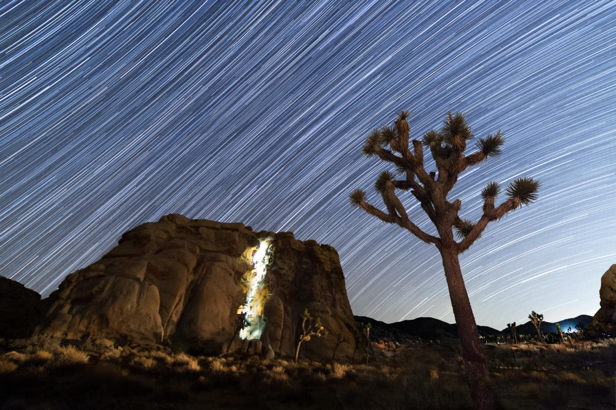 Meteor Shower in Joshua Tree National Park